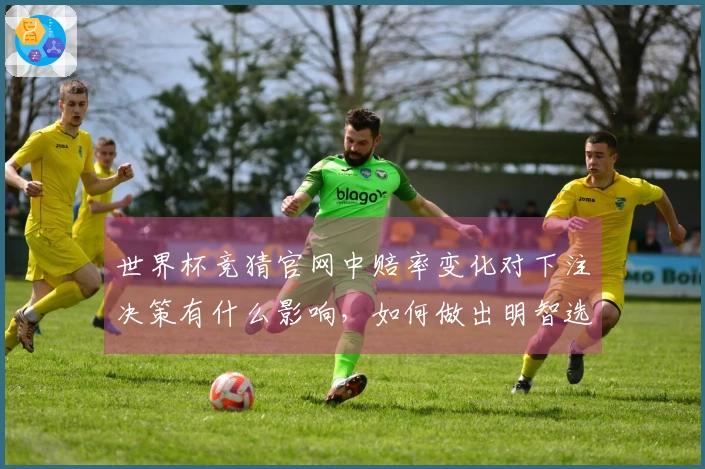世界杯竞猜官网中赔率变化对下注决策有什么影响，如何做出明智选择