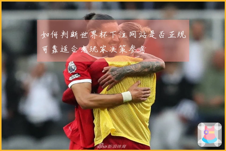 如何判断世界杯下注网站是否正规可靠适合老玩家决策参考