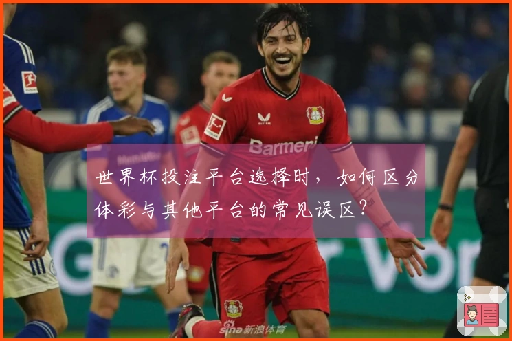 世界杯投注平台选择时，如何区分体彩与其他平台的常见误区？