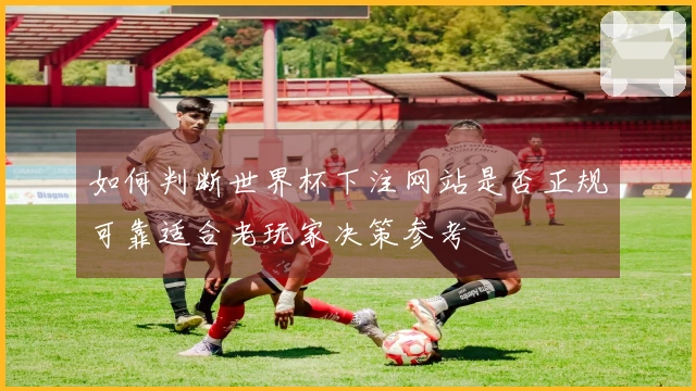 如何判断世界杯下注网站是否正规可靠适合老玩家决策参考