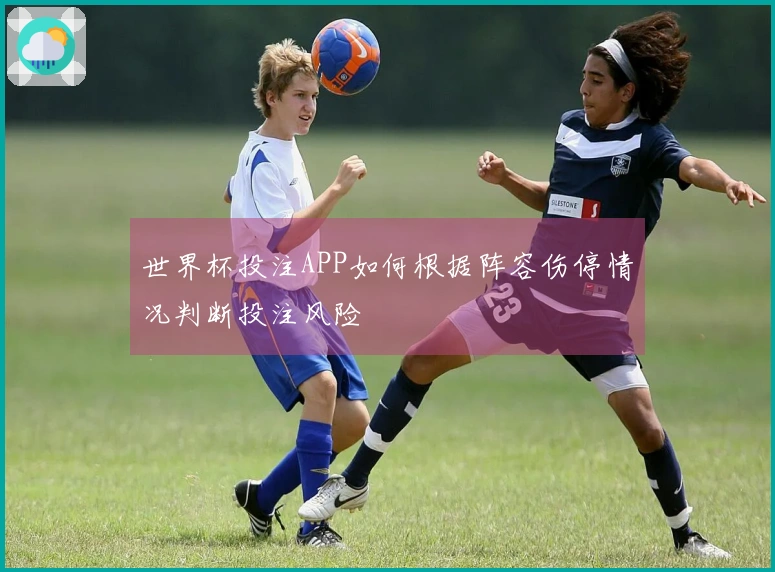 世界杯投注APP如何根据阵容伤停情况判断投注风险