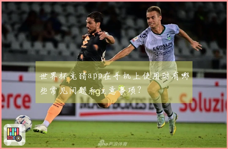 世界杯竞猜app在手机上使用时有哪些常见问题和注意事项？