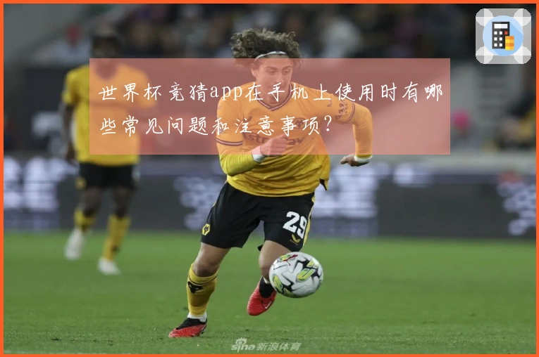 世界杯竞猜app在手机上使用时有哪些常见问题和注意事项？